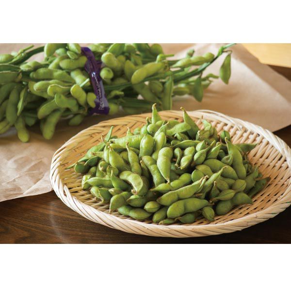 新潟県産(JAえちご中越) 越後はちこく茶豆(1kg入箱(茶豆250g以上×4袋入))【限定50点】【お届け期間:7月20日〜8月25日】【KN】 果物・野菜【季節の贈り物&ご褒 新潟県産(JAえちご中越) 越後はちこく茶豆(1kg入箱(茶豆250g以上×4袋入))【限定50点】【お届け期間:7月20日〜8月25日】【KN】 果物・野菜【季節の贈り物&ご褒