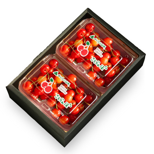 山形県産さくらんぼ(紅秀峰または佐藤錦) 200g×2パック【お届け