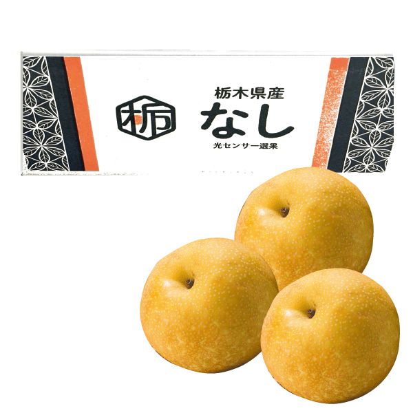 栃木県産JA全農とちぎ青果物広域集出荷センター幸水梨3L〜4L・5kg・14玉〜12玉「お届け期間」2025/8/12〜2025/8/31【KN】 果物・野菜【季節の贈り物&ご褒美ギフ 栃木県産JA全農とちぎ青果物広域集出荷センター幸水梨3L〜4L・5kg・14玉〜12玉「お届け期間」2025/8/12〜2025/8/31【KN】 果物・野菜【季節の贈り物&ご褒美ギフ
