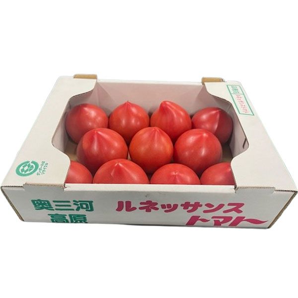 愛知県産 JA愛知東 ルネッサンストマト 1.5kg(11〜15個入)【CB】 果物・野菜【季節の贈り物&ご褒美ギフト】 愛知県産 JA愛知東 ルネッサンストマト 1.5kg(11〜15個入)【CB】 果物・野菜【季節の贈り物&ご褒美ギフト】
