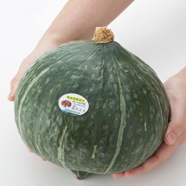 栃木県産 中山かぼちゃ Lサイズ1500g【お届け期間:7月15日〜8月15日】【フードアルチザン】 果物・野菜【季節の贈り物&ご褒美ギフト】 栃木県産 中山かぼちゃ Lサイズ1500g【お届け期間:7月15日〜8月15日】【フードアルチザン】 果物・野菜【季節の贈り物&ご褒美ギフト】