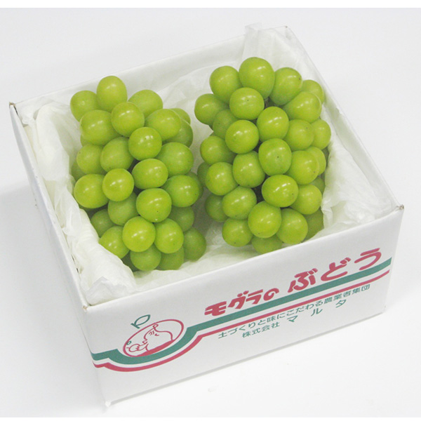 長野県産 ぶどう シャインマスカット 秀品 1kg【お届け期間：9月