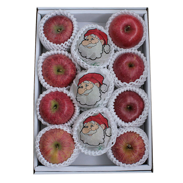 山形県産 りんご クリスマス「サンタ」 2.8kg【イオンのクリスマス】 果物・野菜 山形県産 りんご クリスマス「サンタ」 2.8kg【イオンのクリスマス】 果物・野菜