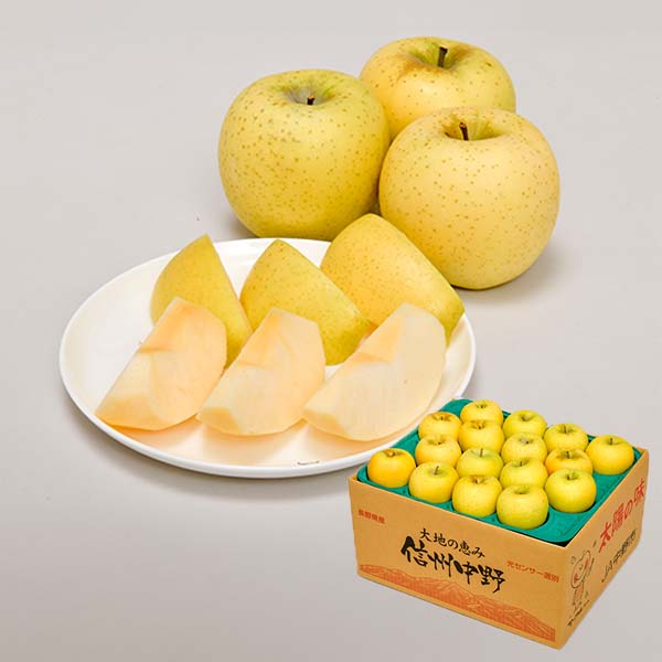 青森県産＂ シナノゴールド ＂りんご 加工用 30kg 産地直送 リンゴ 林檎 サンジョナゴールド りんご | 青森県弘前市の『飛馬りんご』の