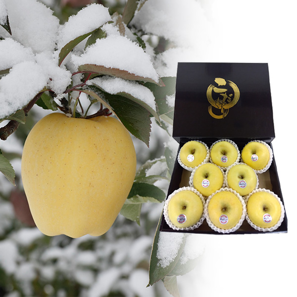 茧Y(JAԊ)  ͂邩 L 8 ۏGi2.2kgy80_z(͂ԁF1210`1230)y񂹁z ʕE؁yG߂̑蕨JM