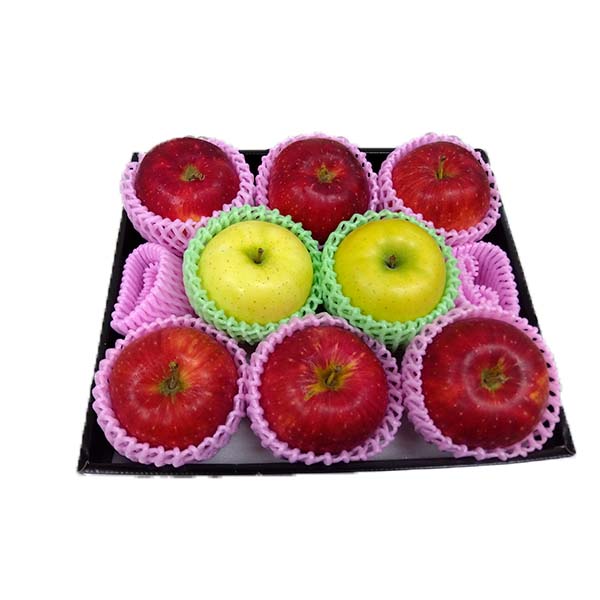 茧Y(JAԊ)  ͂邩 L 2  L 6 v8y100_z(͂ԁF1210`1230)y񂹁z ʕE؁yG߂̑