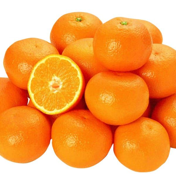 a̎RY c݂ LTCY5kg(ԏG)y͂:1125`1225zy{NցzyNNz ʕE؁yG߂̑蕨JMtgz