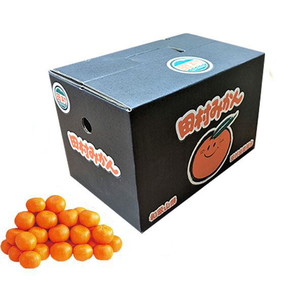 和歌山県産 田村みかん 青秀以上 (Lサイズ 2.7kg)指定日お届け可【限定200点】【お届け期間:2025年11月20日〜2025年12月29日】【おいしいお取り寄せ】 果物・野