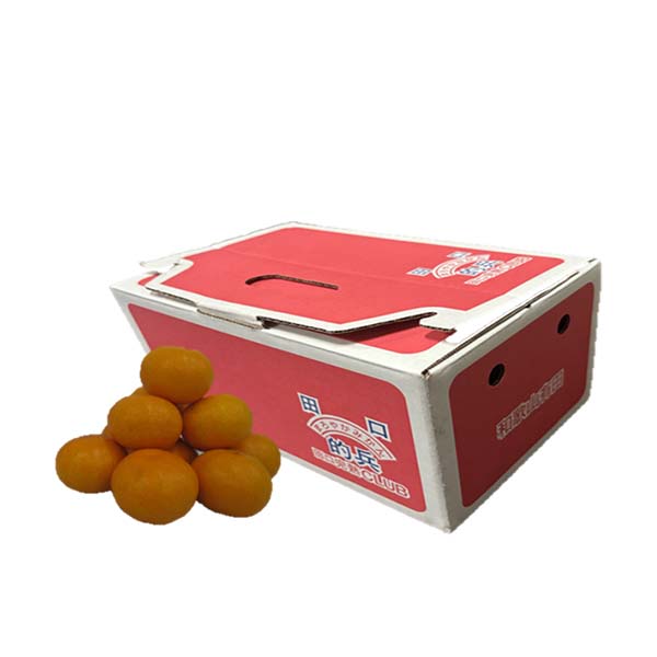 a̎RLcY I݂ Gȏ (STCY 2.7kg)w͂y50_zy͂:2025N1210`2025N1229zy񂹁z ʕE