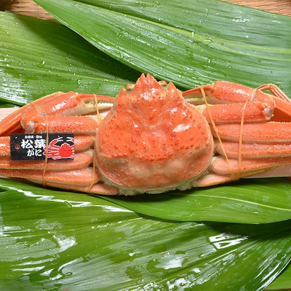 鳥取 大漁市場なかうら 境港産 松葉がに 小 1枚入【冬の贈りもの・お歳暮】【NN】 魚介・海産物【イオン特選お歳暮】