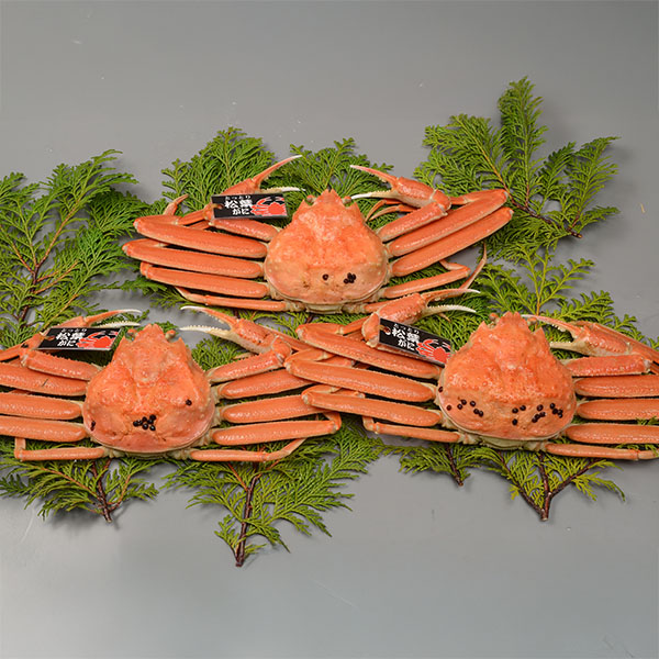 鳥取 大漁市場なかうら 境港産 松葉がに 小 3枚入【冬の贈りもの・お歳暮】【NN】 魚介・海産物【イオン特選お歳暮】 鳥取 大漁市場なかうら 境港産 松葉がに 小 3枚入【冬の贈りもの・お歳暮】【NN】 魚介・海産物【イオン特選お歳暮】