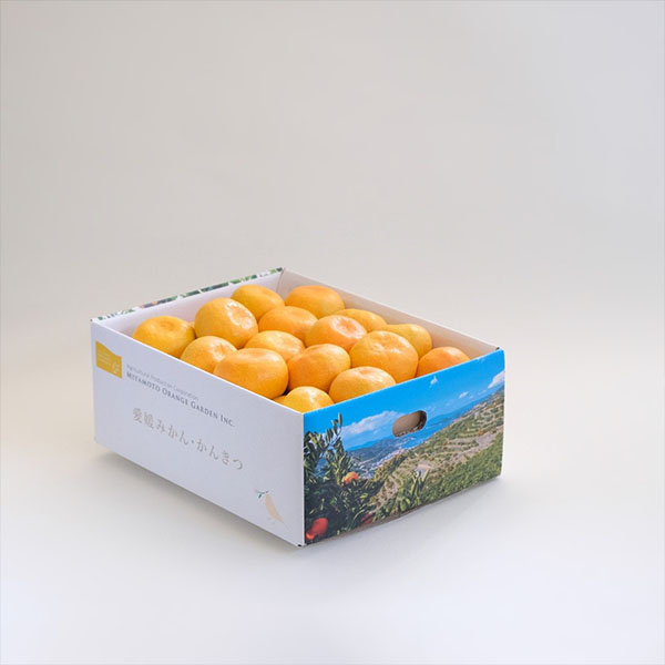 QlY B݂ 3kgy1000_zy͂ԁF1120`1225zyubNtCf[z ʕE؁yG߂̑蕨JMtgz