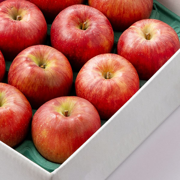 XY Tӂ 킯 2kgy͂ԁF121`1220zyubNtCf[z ʕE؁yG߂̑蕨JMtgz