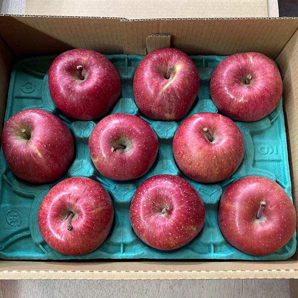 XY tƂ炸 2.7kg x13xȏy1000_zy͂ԁF121`1230zyubNtCf[z ʕE؁yG߂̑蕨JMtg