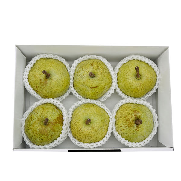 R`Y mȂ EtX 1.8kgy300_zy͂ԁF1115`1210zyubNtCf[z ʕE؁yG߂̑蕨JMtgz