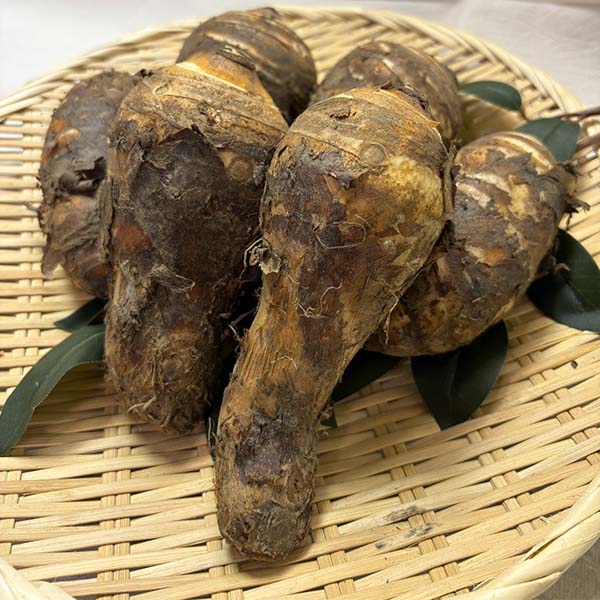 静岡県産 海老芋(ご自宅用) 2kg【限定200点】【お届け期間：11月8日〜12月10日】【ブラックフライデー】 果物・野菜【季節の贈り物＆ご褒美ギフト】