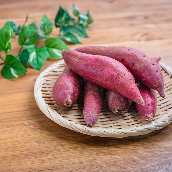 熊本県産 さつまいも 紅はるか サイズおまかせ 3kg【限定2000点】【お届け期間:11月10日〜12月30日】【ブラックフライデー】 商品画像1