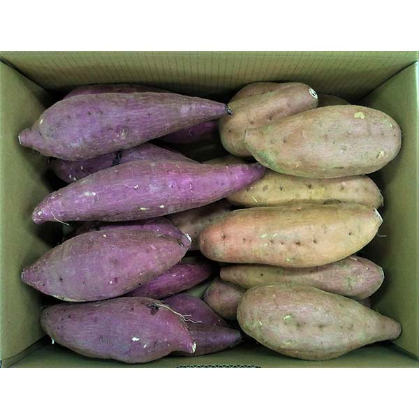 鹿児島県産 さつまいも詰合せ 安納芋・紅はるか 各2kg 計4kg【限定1000点】【お届け期間：11月25日〜12月10日】【ブラックフライデー】 果物・野菜【季節の贈り