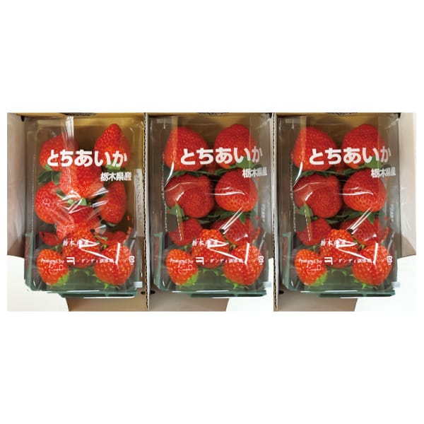 栃木県産 真岡市地区 ダンディ倶楽部さんのいちご(とちあいか)250gパック 3パックセット【お届け期間】2026/1/7‐2026/3/31【KN】 果物・野菜【季節の贈り物&ご 栃木県産 真岡市地区 ダンディ倶楽部さんのいちご(とちあいか)250gパック 3パックセット【お届け期間】2026/1/7‐2026/3/31【KN】 果物・野菜【季節の贈り物&ご