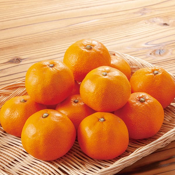 和歌山県産有田みかん計5kg以上・Mサイズ(赤秀)【お届け期間:11月25日〜12月28日】【従業員感謝WEEK】【NN】 商品画像1