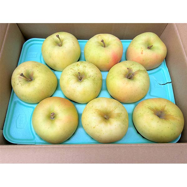 쌧Y uꍂ̂ܖ(ƒp) 2.7kgy1000_zy͂ԁF121`1228zyubNtCf[z ʕE؁yG߂̑蕨