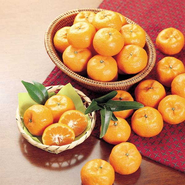 鹿児島県産 桜島小みかん バラ詰め 優品 3kg【限定50点】【お届け期間:12月15日〜12月25日】【Aセレクション12月】 商品画像1