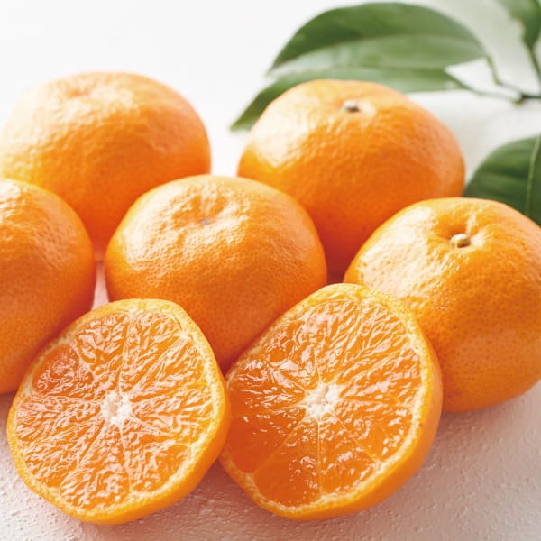 QJAɂ ݂Ȃ̋Ia݂(Ȃ݂)1E5kgy͂ԁz2025/12/1]2025/12/14yubNtCf[zyKNz ʕE؁yG߂̑蕨