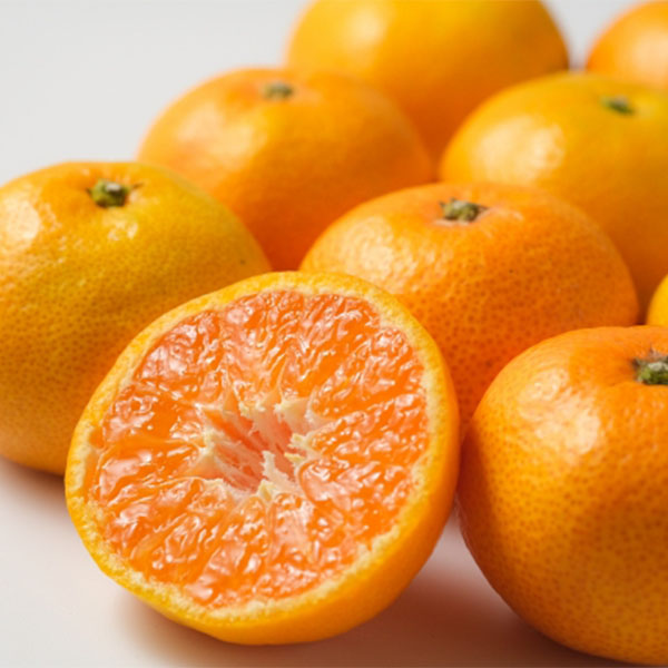 YR݂(}Ch130)4kgR݂4kg(L`S)y͂:1210`1225zyNNz ʕE؁yG߂̑蕨JMtgz