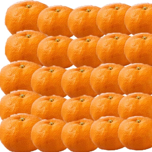 Y(JA) ݂(B) 4.0kgy200_zy͂ԁF115`131zy񂹁z ʕE؁yG߂̑蕨JMtg