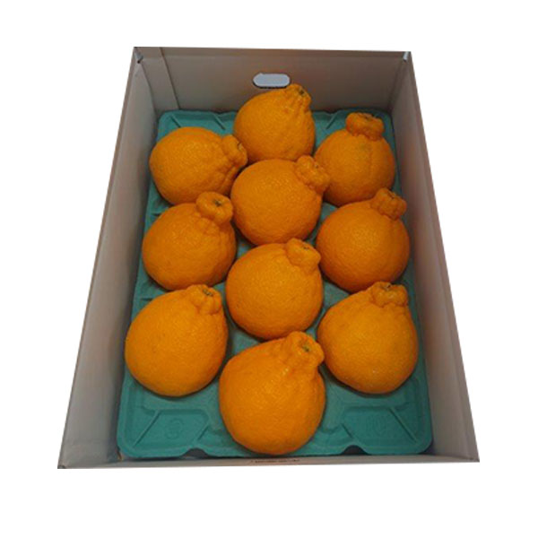 福岡県産(JA粕屋) デコポン 3.0kg【お届け期間：2月20日〜3月8日】【お買い得セール2月】　商品画像1