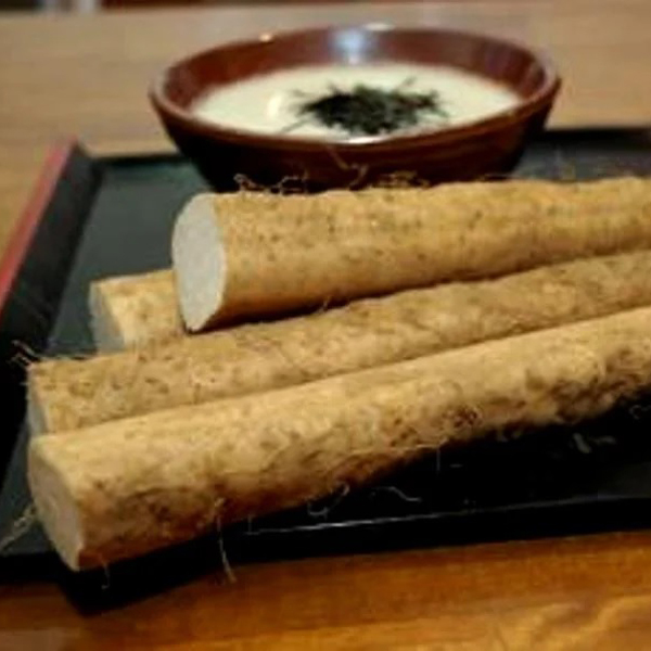 静岡県産(JA静岡市) ほんやま自然薯 Lサイズ3本入り化粧箱【ブラックフライデー】【CB】 果物・野菜【季節の贈り物＆ご褒美ギフト】