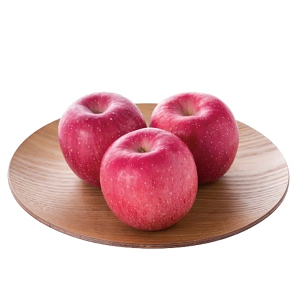 쌧Y (TtW)36ʃTCY 4ʓyubNtCf[zyCBz ʕE؁yG߂̑蕨JMtgz