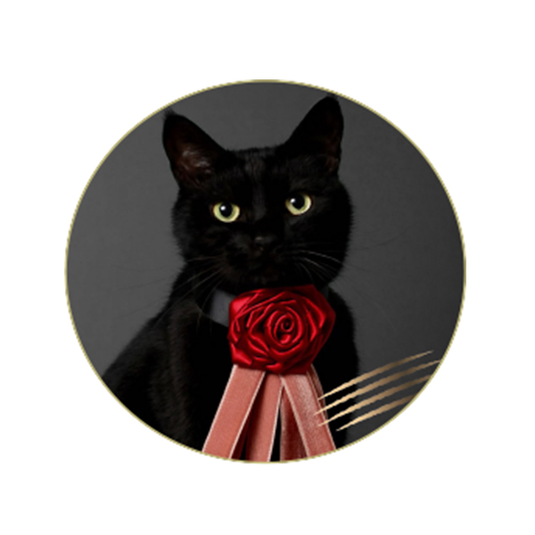 DADACA CACAOCAT缶NOIR チョコレート菓子5個入【お届け期間：1月15日〜2月21日】【バレンタイン】　商品画像1