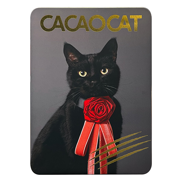 DADACA CACAOCAT缶NOIR チョコレート菓子14個入【お届け期間：1月15日〜2月21日】【バレンタイン】　商品画像1