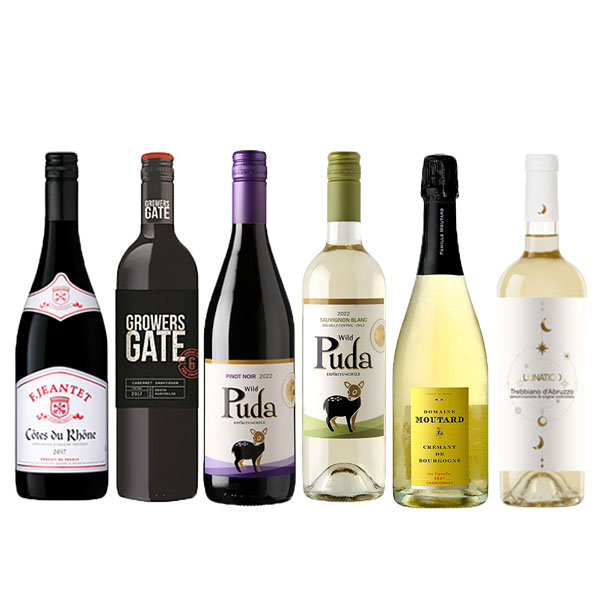 フランス・オーストラリア・イタリア・チリから厳選 赤・白・泡ワイン6本セット 各750ml【おいしいお取り寄せ】 商品画像1