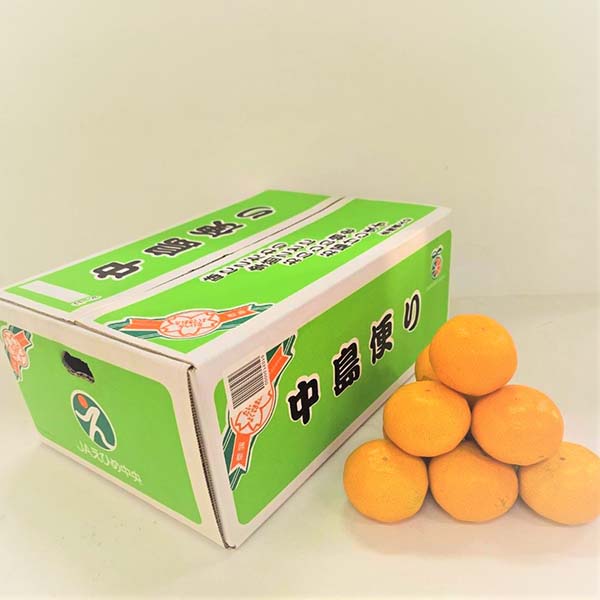 愛媛県産 中島育ちみかん 赤秀 5kg【お届け期間：12月10日〜12月28日】【おいしいお取り寄せ】　商品画像1