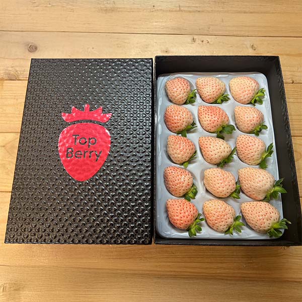 奈良県産(トップベリー) いちご コットンベリー 化粧箱350g 1箱【限定50点】【お届け期間:2月10日〜3月30日】【おいしいお取り寄せ】 商品画像1