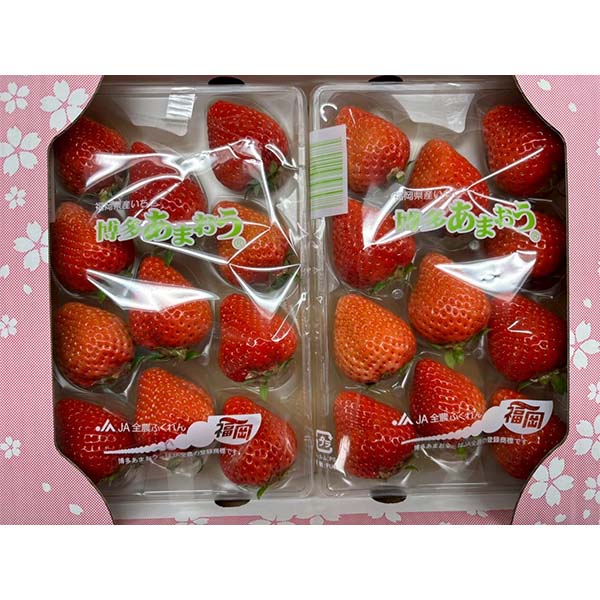 福岡県産 いちご 博多あまおう ゆりカーゴ(6・8・9・11玉) 250g×2パック【お届け期間:1月7日〜2月10日】【おいしいお取り寄せ】 商品画像1
