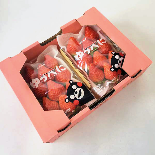 熊本県産 ゆうべに苺 250g×2パック【お届け期間:1月7日〜2月28日】【おいしいお取り寄せ】 商品画像1