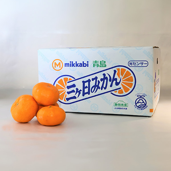 静岡県産(JAみっかび) 三ケ日 青島みかん 優品以上 8kg Lサイズ【お