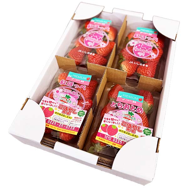 宮城県産 小林さんのいちご おまかせ4種詰合せ【限定200点】【お届け期間：1月20日〜2月20日】【初売り】　商品画像1