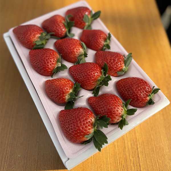 宮城県産 小林さんのいちご デラックス 赤 8〜15個【お届け期間：1月20日〜2月20日】【初売り】　商品画像1