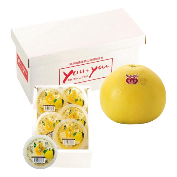 熊本県産 晩白柚・ゼリー セット【限定500点】【お届け期間：1月13日