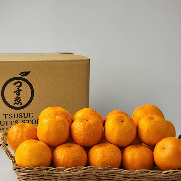 熊本県産 ポンカン 5kg【お届け期間：2月1日〜2月28日】【イオンゴールドカード会員さま限定特別セール1月】　商品画像1