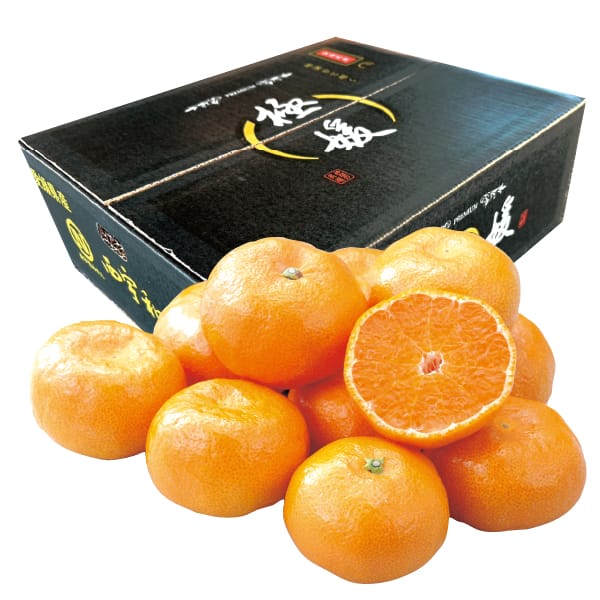 愛媛県産JAみなの共選高糖度みかん(極媛)4.8kg M〜S【お届け期間】2025/12/21‐2026/1/25【お買い得セール12月】【KN】　商品画像1