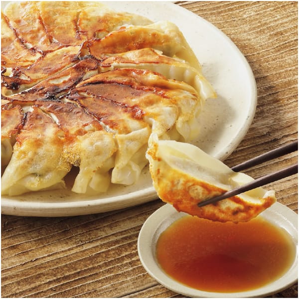 大阪 原田屋 生餃子100個 生餃子(17g×20個)5、餃子のたれ10g×10【NN】　商品画像1