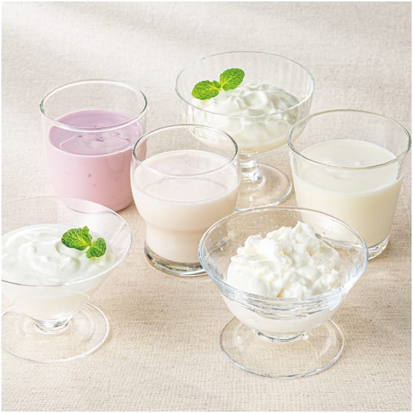 新潟ヤスダヨーグルトヤスダヨーグルトギフト【お届け期間】1/11‐2/8【KN】　商品画像1