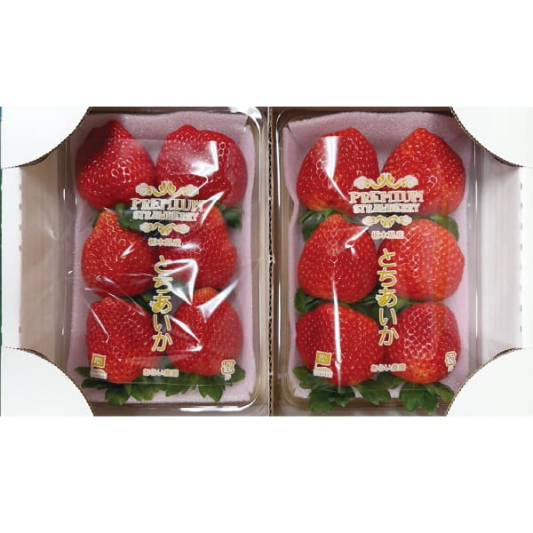 栃木県産プレミアムいちご会大粒いちご(とちあいか)1パック・250g入×2パック「お届け期間」2026/02/01〜2026/02/28【KN】　商品画像1
