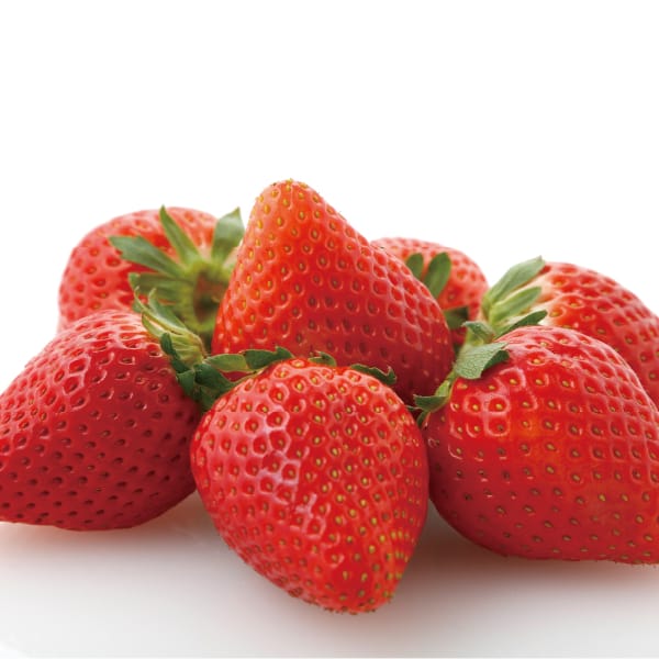 栃木県産プレミアムいちご会大粒いちご(スカイベリー)1パック・250g入×2パック「お届け期間」2026/02/01〜2026/02/28【KN】　商品画像1