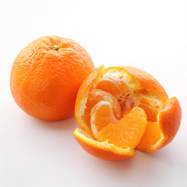 愛媛県 JAにしうわ みつる共選蜜るいよかん 計9kg以上 特秀3L〜L【お届け期間:2月5日〜2月28日】【NN】 商品画像1